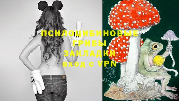таблы Покров