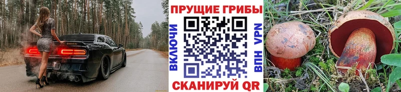 Галлюциногенные грибы Psilocybine cubensis  Злынка 